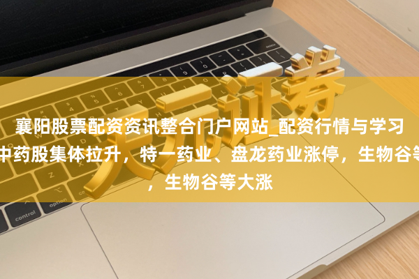 襄阳股票配资资讯整合门户网站_配资行情与学习解析 中药股集体拉升，特一药业、盘龙药业涨停，生物谷等大涨