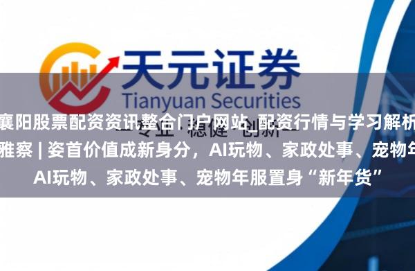襄阳股票配资资讯整合门户网站_配资行情与学习解析 2026年货消耗不雅察 | 姿首价值成新身分，AI玩物、家政处事、宠物年服置身“新年货”