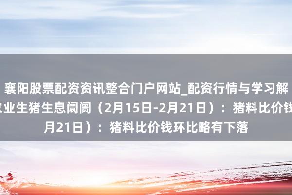襄阳股票配资资讯整合门户网站_配资行情与学习解析 行业跟踪|农业生猪生息阛阓（2月15日-2月21日）：猪料比价钱环比略有下落